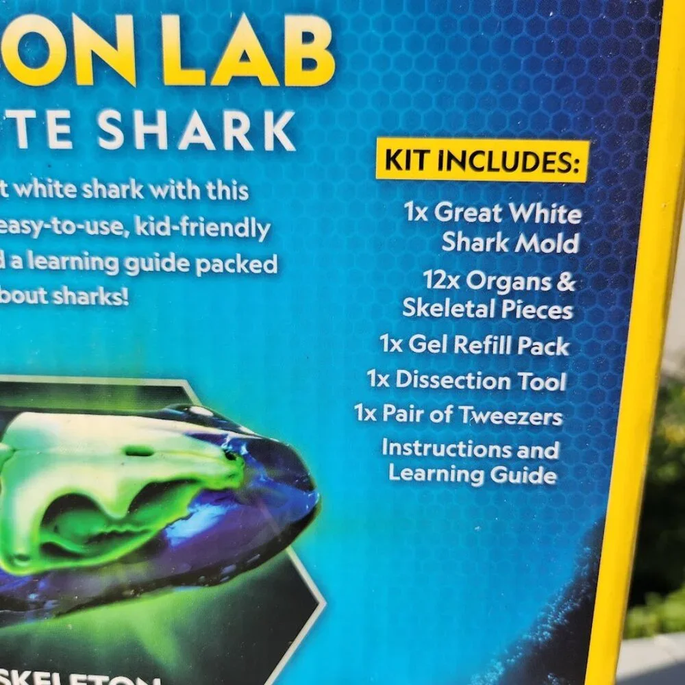 National Geographic Shark Dissection Kit Glow in The Dark Great White Shark Anat